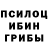 Псилоцибиновые грибы Psilocybine cubensis fozljonv islombey