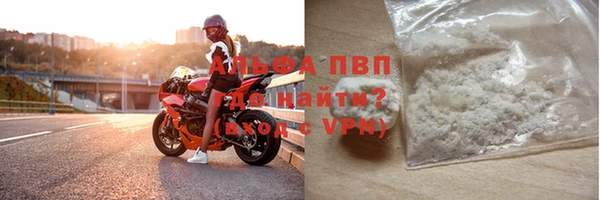 стафф Иннополис