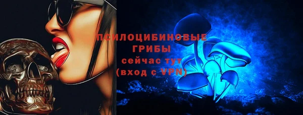 прущие грибы Карпинск