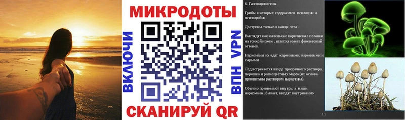 Псилоцибиновые грибы Psilocybine cubensis  Печора 